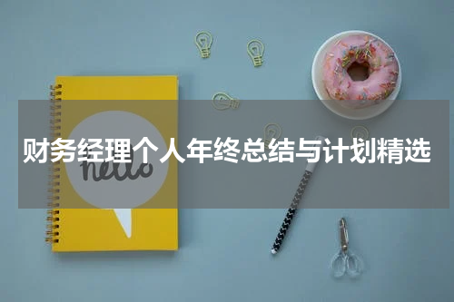 财务经理个人年终总结与计划精选