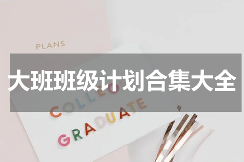 大班班级计划合集大全