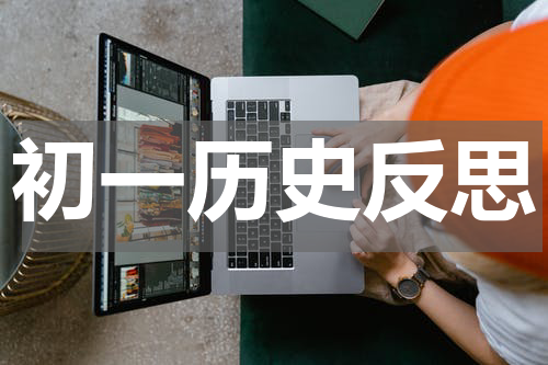 初一历史反思
