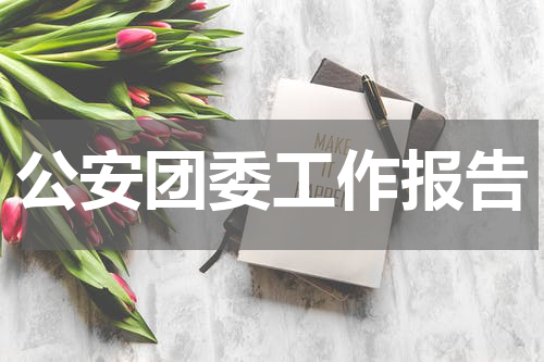 公安团委工作报告