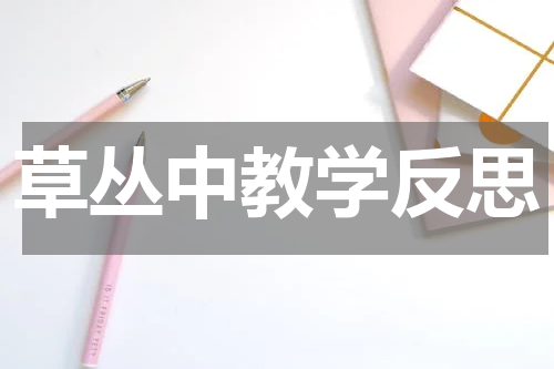 草丛中教学反思