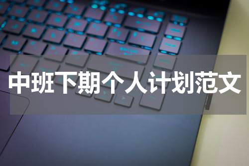 中班下期个人计划范文