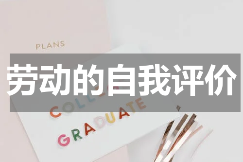 劳动的自我评价