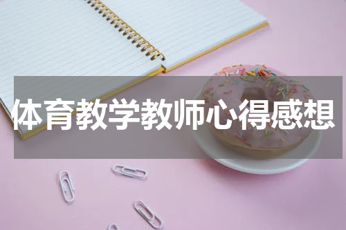 体育教学教师心得感想