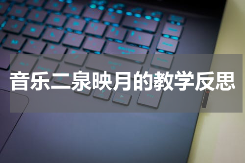 音乐二泉映月的教学反思