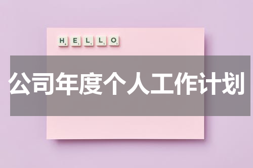 公司年度个人工作计划