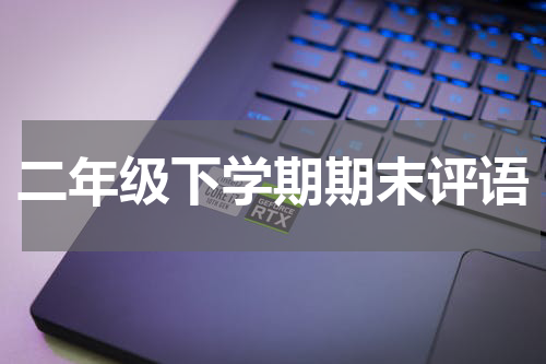 二年级下学期期末评语