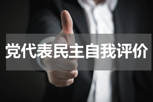 党代表民主自我评价