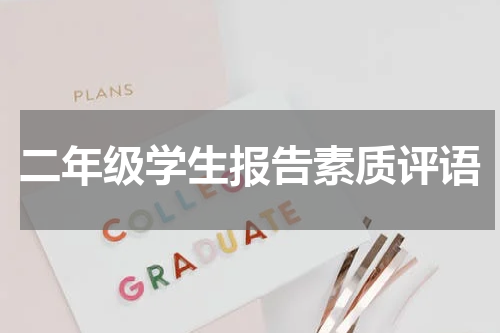 二年级学生报告素质评语