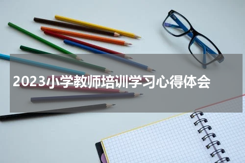 2023小学教师培训学习心得体会