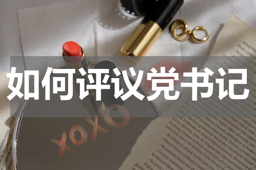 如何评议党书记