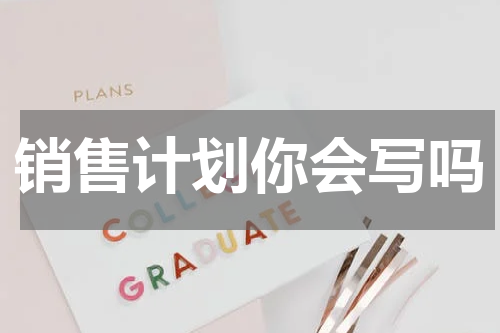 销售计划你会写吗