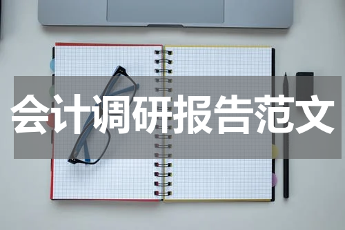 会计调研报告范文