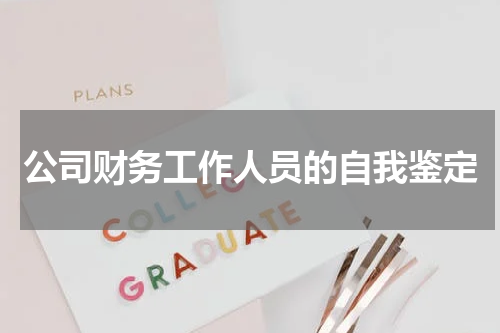 公司财务工作人员的自我鉴定