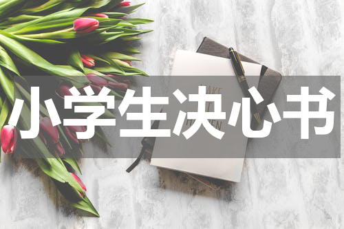 小学生决心书