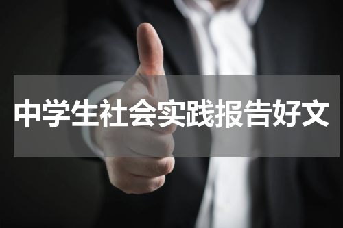 中学生社会实践报告好文