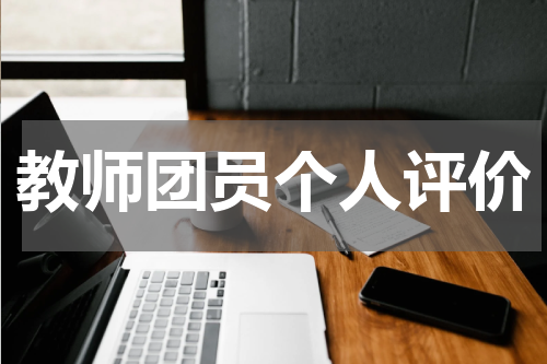 教师团员个人评价