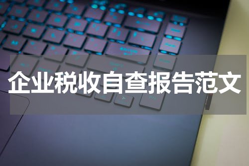 企业税收自查报告范文