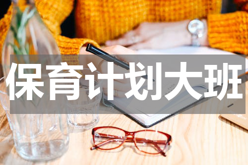 保育计划大班