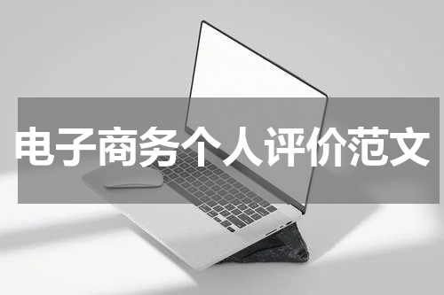 电子商务个人评价范文