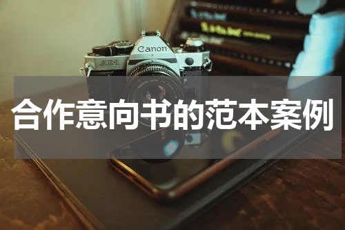 合作意向书的范本案例