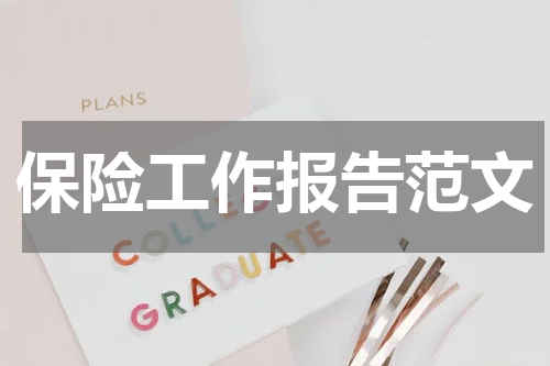 保险工作报告范文