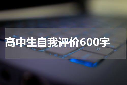 高中生自我评价600字