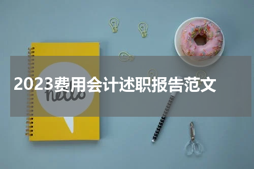 2023费用会计述职报告范文