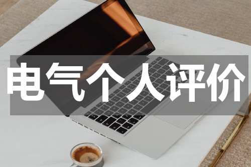 电气个人评价