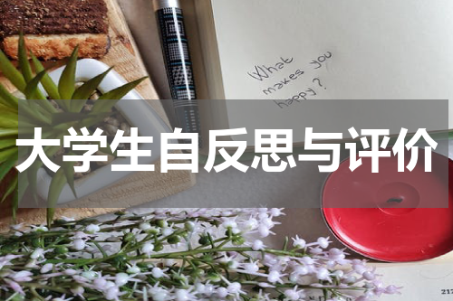 大学生自反思与评价