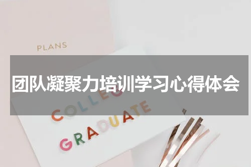团队凝聚力培训学习心得体会