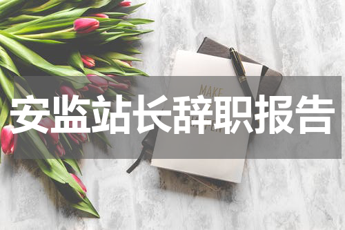 安监站长辞职报告