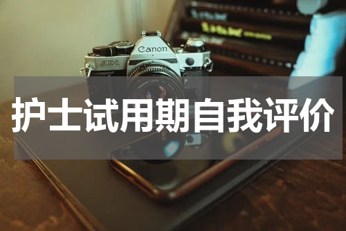 护士试用期自我评价
