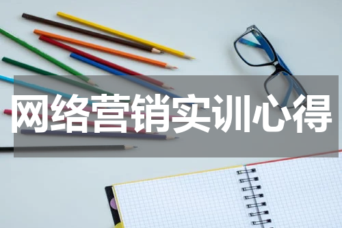 网络营销实训心得