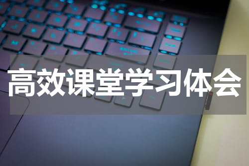高效课堂学习体会