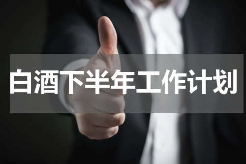 白酒下半年工作计划