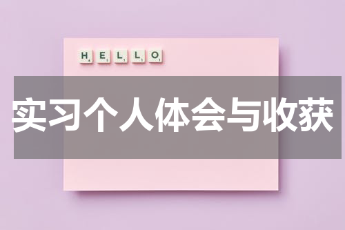 实习个人体会与收获