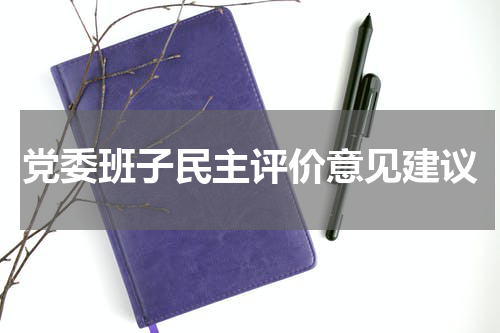 党委班子民主评价意见建议