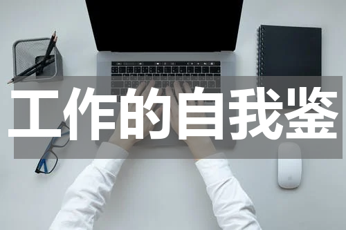 工作的自我鉴