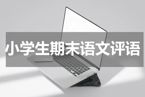 小学生期末语文评语