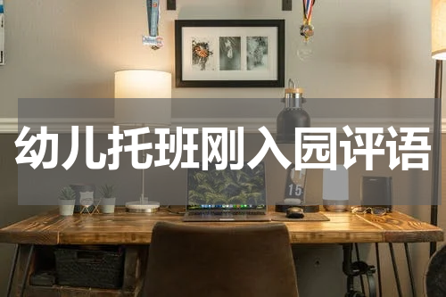幼儿托班刚入园评语