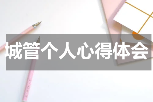 城管个人心得体会