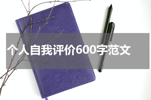 个人自我评价600字范文