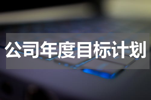 公司年度目标计划