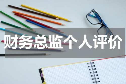财务总监个人评价