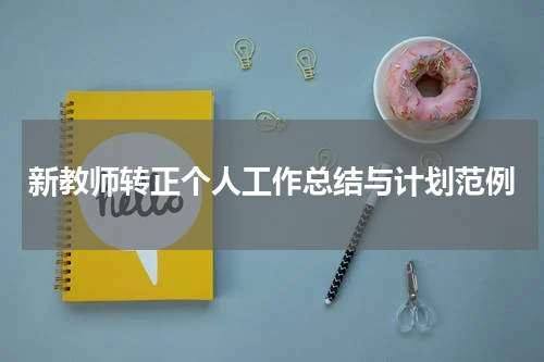 新教师转正个人工作总结与计划范例