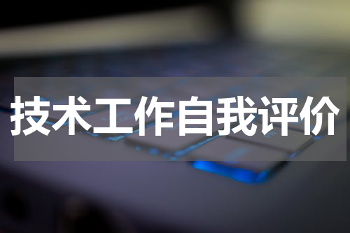 技术工作自我评价