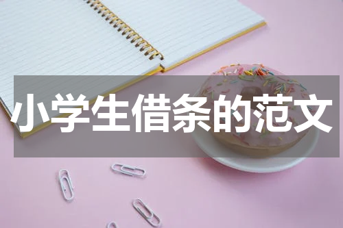 小学生借条的范文