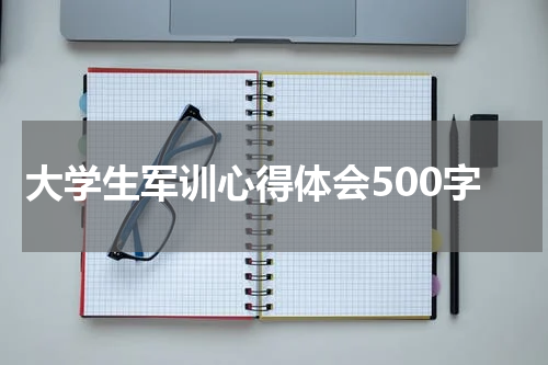 大学生军训心得体会500字
