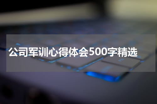 公司军训心得体会500字精选
